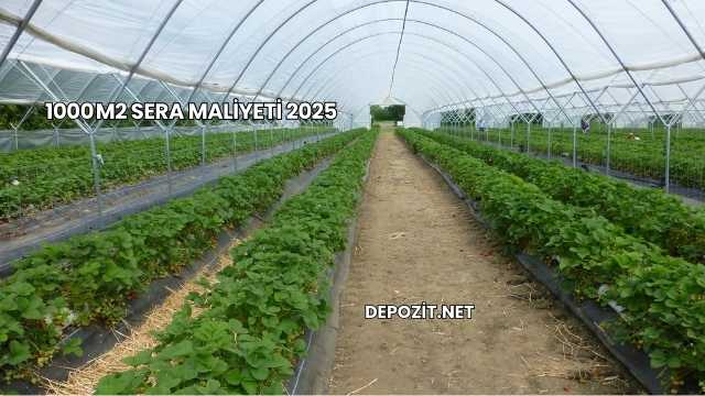 1000 m2 Sera Maliyeti 2025